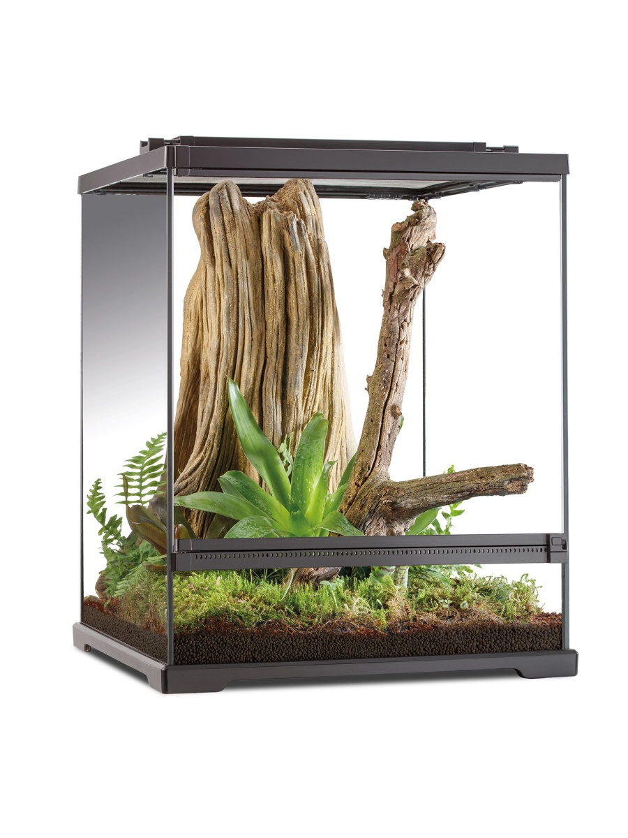 pt2746_et_terrarium_small_tall_hero