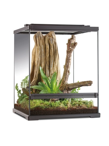 pt2746_et_terrarium_small_tall_hero